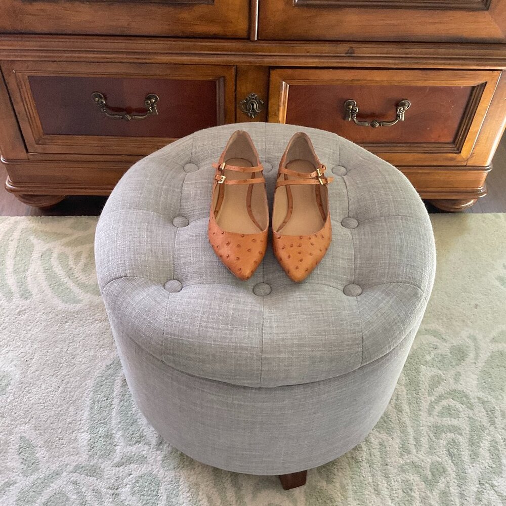 Banana Republic Mary Jane Flats